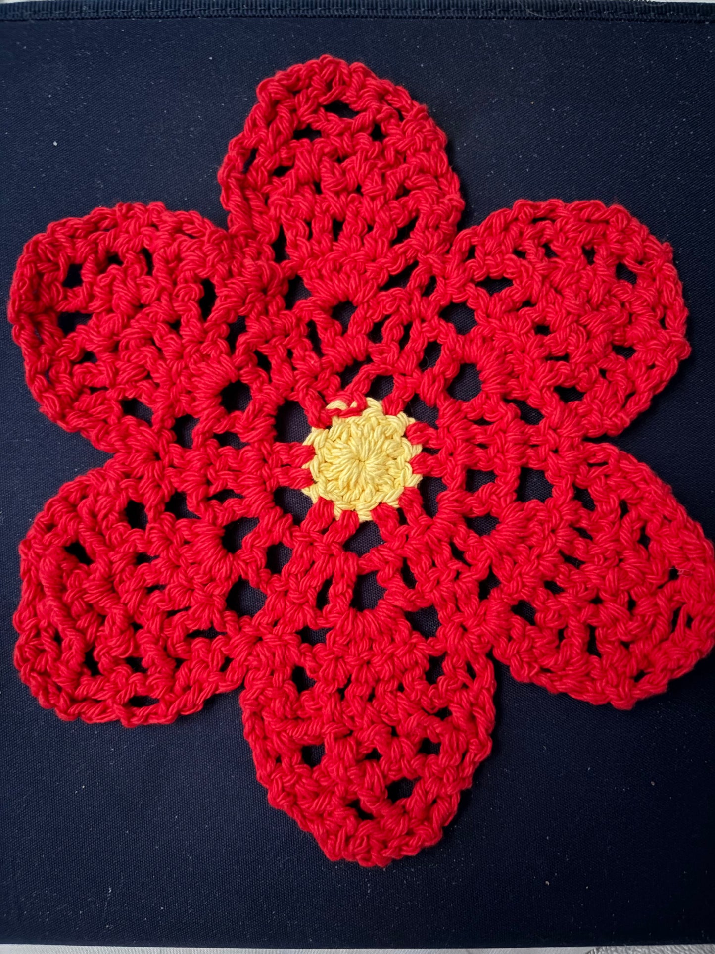 Poinsettia Dish Cloth